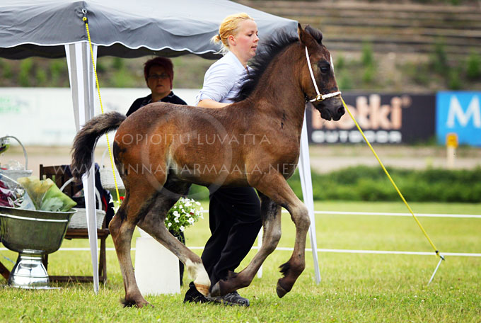 cloudberry_royal_domperignon_9575.jpg