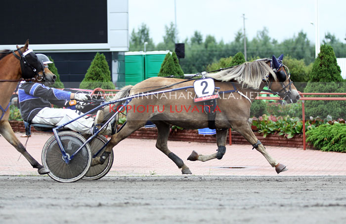 golden_contender_1887.jpg